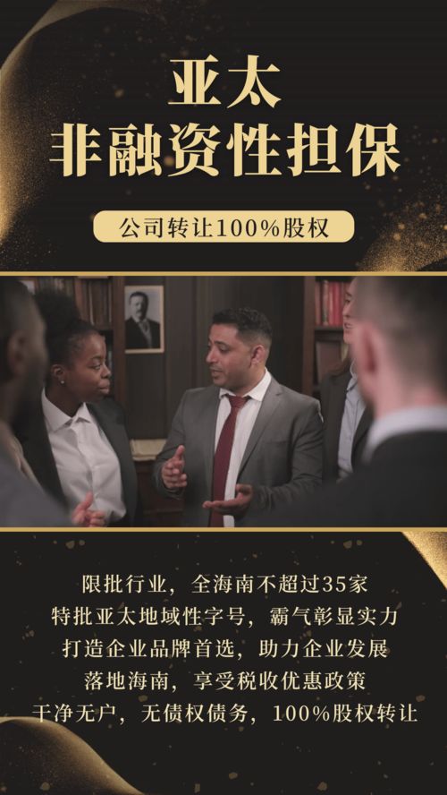 霸氣字號(hào)布局海南板塊 亞太非融資性擔(dān)保公司在海南的戰(zhàn)略發(fā)展