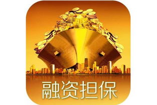 融資性擔(dān)保公司牌照申請(qǐng)條件