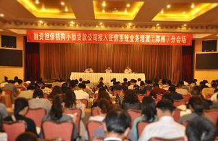 鄭州融資性擔(dān)保機(jī)構(gòu)助力小微企業(yè)融資 政策支持與市場前景分析