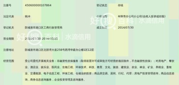 廣西和信高盛非融資性擔保有限公司防城港分公司 聚焦非融資性擔保，服務地方經濟